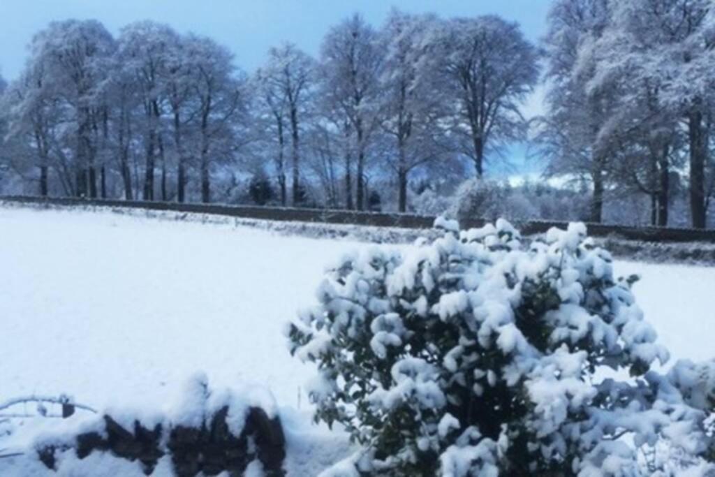 Tomax Garden Cabin Free Parking Inverness Luaran gambar