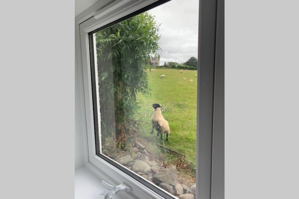 Tomax Garden Cabin Free Parking Inverness Luaran gambar